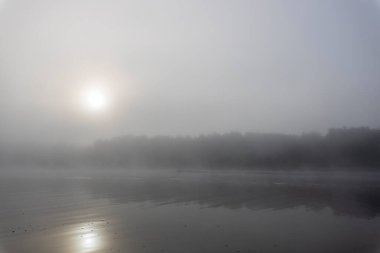 Nehirde sis var. Şafak vakti mistik manzara. Sabah erkenden. Yazın güzel şafak vakti nehir kenarında. Sabahın erken saatlerinde manzara manzarası.