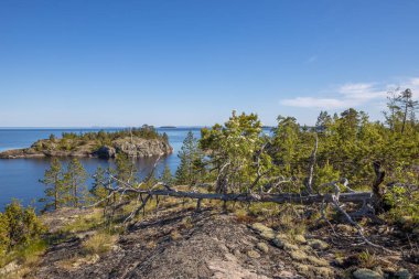 Kuzey doğası. Karelian kokarcaları. Ladoga Gölü. Taşlı kıyıları olan Ladoga Gölü Kanalı. 