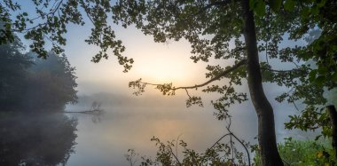 Şafakta sessiz ve sisli göl. Ön planda yaprakları olan ağaç dalları