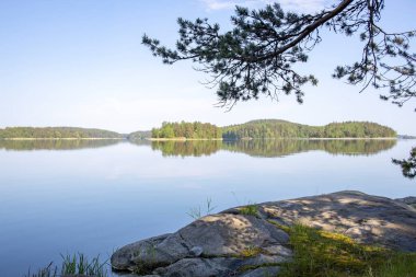 Göle bakan yaz manzarası. Gölde güneşli bir sabah. Rezervuarı olan resim gibi bir manzara..