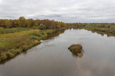 Nehirli sonbahar manzarası. Nehir kenarında bulutlu bir sonbahar günü. Nehir manzarası, kıyıda ağaçlar ve çalılar var. Bulutlu bir günde Sonbaharın parlak renkleri.