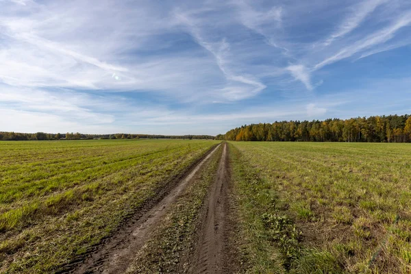 Estrada Terra Através Campo Verde Para Horizonte Paisagem Agrícola Com — Fotografia de Stock