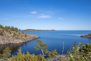 Kuzey doğası. Karelian kokarcaları. Ladoga Gölü. Taşlı kıyıları olan Ladoga Gölü Kanalı. 