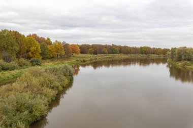Nehirli sonbahar manzarası. Nehir kenarında bulutlu bir sonbahar günü. Nehir manzarası, kıyıda ağaçlar ve çalılar var. Bulutlu bir günde Sonbaharın parlak renkleri.