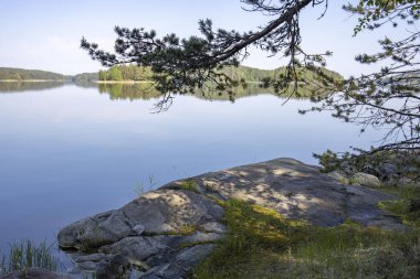 Göle bakan yaz manzarası. Gölde güneşli bir sabah. Rezervuarı olan resim gibi bir manzara..