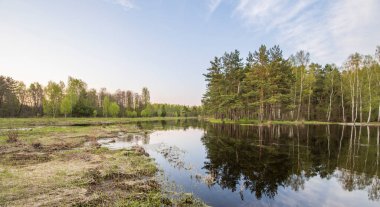 Resimli bir bahar akşamı manzarası. Nehir baharda taştı. Ağaçlarda ve topraklarda genç yeşillikler.