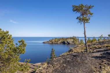 Gölde güneşli bir gün. Suyun içindeki gökyüzünün yansıması. Taş üstünde çam. Kuzeyin doğası. Ön planda kuru ağaç.