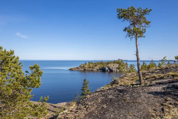 Gölde güneşli bir gün. Suyun içindeki gökyüzünün yansıması. Taş üstünde çam. Kuzeyin doğası. Ön planda kuru ağaç.