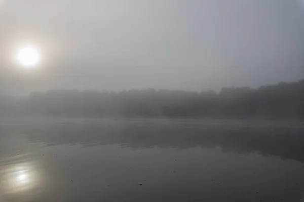 Niebla Río Paisaje Místico Amanecer Temprano Hermoso Amanecer Verano Junto — Foto de Stock