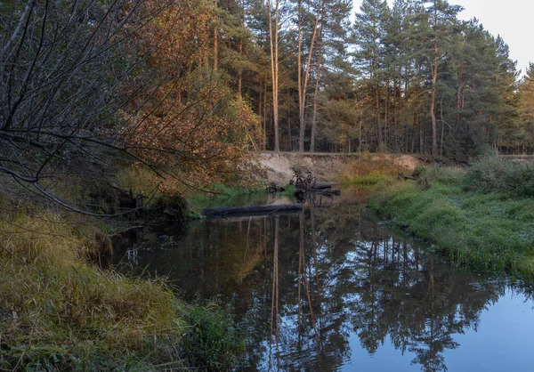 Landskap Med Liten Älv Höstskogen Flod Älvskog Med Ljusa Och — Stockfoto