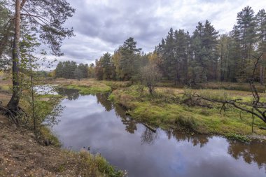 Sarı, kırmızı, turuncu ve yeşil renkli ağaçların üzerinde parlak sonbahar yaprakları. Ormanda bulutlu bir hava Idyllic sonbahar manzarası. Temiz doğa, ekoloji, mevsimler, çevre koruma. 