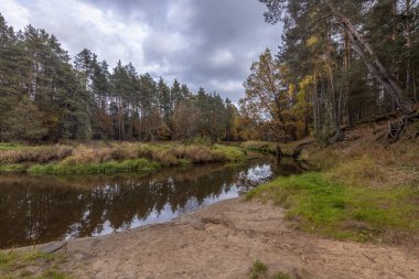 Küçük bir orman nehri olan sonbahar manzarası. Ormanda bulutlu bir hava Idyllic sonbahar manzarası. Temiz doğa, ekoloji, mevsimler, çevre koruma. Atmosferik ve barışçıl manzara