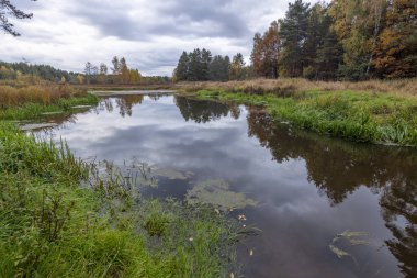 Küçük bir orman nehri olan sonbahar manzarası. Ormanda bulutlu bir hava Idyllic sonbahar manzarası. Temiz doğa, ekoloji, mevsimler, çevre koruma. Atmosferik ve barışçıl manzara