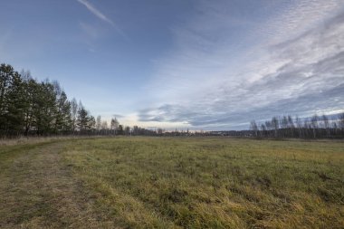 Tarlanın üzerinde narin sirrus bulutları olan bir manzara. Sonbahar tarlası ve bulutlu günbatımı gökyüzü. Mavi gökyüzü, tarla ve bulutlarla manzaralı akşam manzarası. 