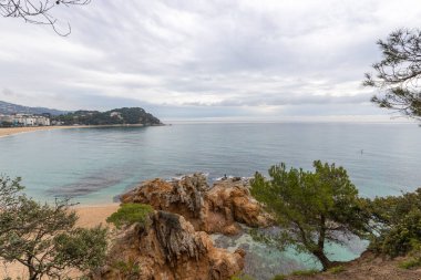 Akdeniz, İspanya, Costa Brava. Gök mavisi deniz manzarası. Gök mavisi sahillerinde çam ağaçları. Yeşilliklerle dolu güzel bir sahil..