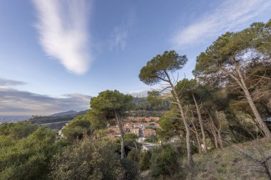 Sabahın erken saatlerinde tepeden Barselona 'nın resimli manzarası. Ön planda çam ağaçları. Bulutların arasından güneş ışınları. Tibidabo Dağı manzarası. İspanya, Barselona 'da sonbahar.