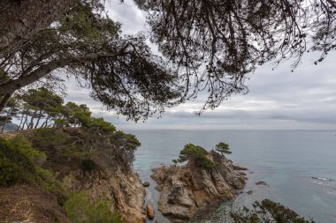 Akdeniz, İspanya, Costa Brava. Gök mavisi deniz manzarası. Gök mavisi sahillerinde çam ağaçları. Yeşilliklerle dolu güzel bir sahil..