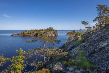 Göl üzerinde taşlarla kaplı bir orman manzarası. Gölde güneşli bir gün. Suyun içindeki gökyüzünün yansıması. Taş üstünde çam. Kuzeyin doğası.. 