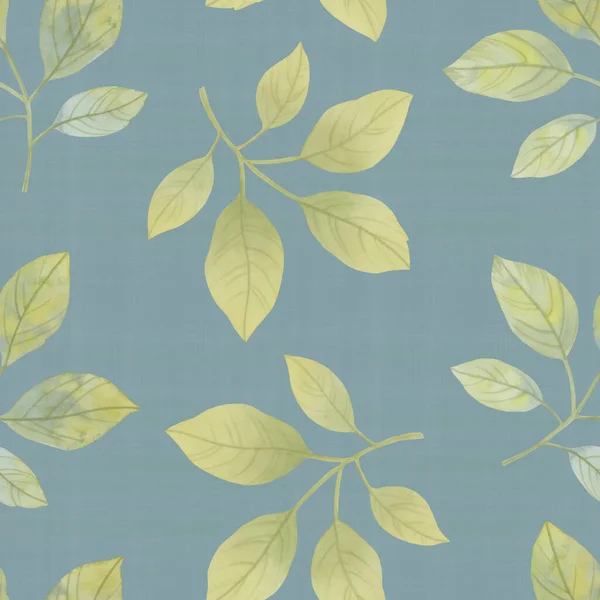 가시없는 식물학적 수채화 나뭇잎 디자인 프린트 — 스톡 사진