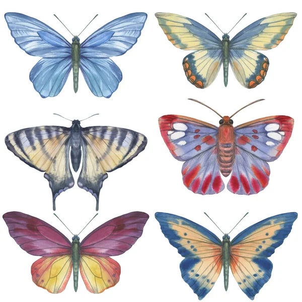 Set Bright Watercolor Butterflies Isolated White Background — Stock Photo, Image