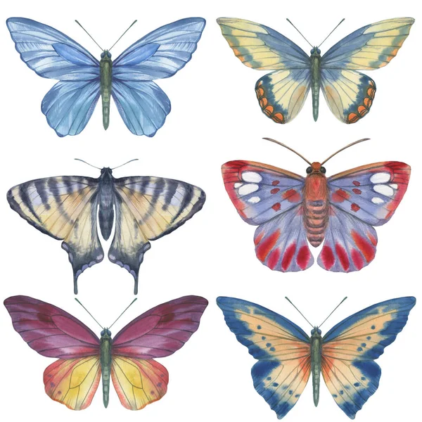 Uppsättning Ljusa Akvarell Fjärilar Isolerade Vit Bakgrund Royaltyfria Stockbilder