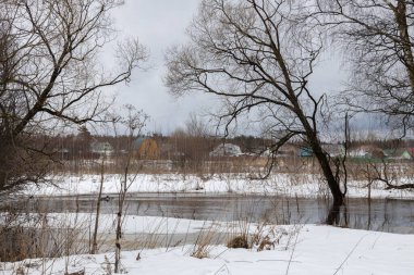 Nehir taşmış. Nehirli bir manzara. Sudaki ağaçlar. Geçen yılın çimenleri eriyen bölgelerde. Eriyen kar eriyen kar.