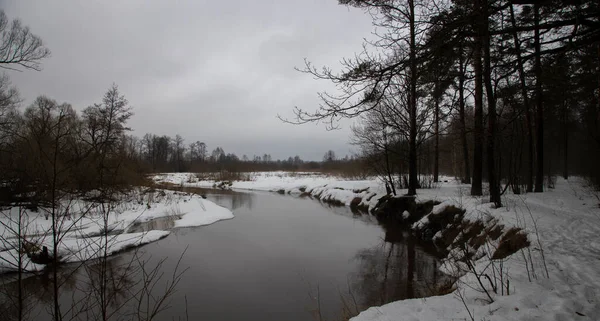 Frühlingslandschaft Fluss Frühjahr Tauwetter Ist Ein Fieser Tag — Stockfoto