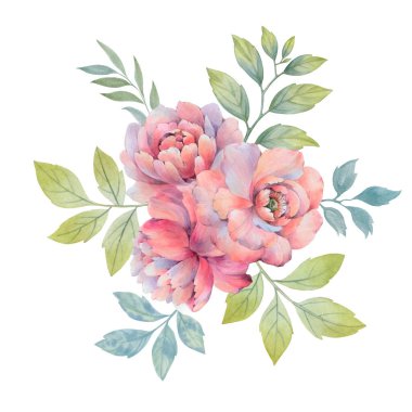 Tasarım, davetiyeler ve baskı için parlak suluboya şakayık çiçekleri. Beyaz arkaplanda yaprakları olan bir buket çiçek.