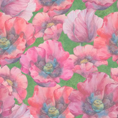 Suluboya gelincikler, tasarım için kusursuz botanik desen. Parlak kırmızı çiçekler. Soyut çiçek arkaplanı.