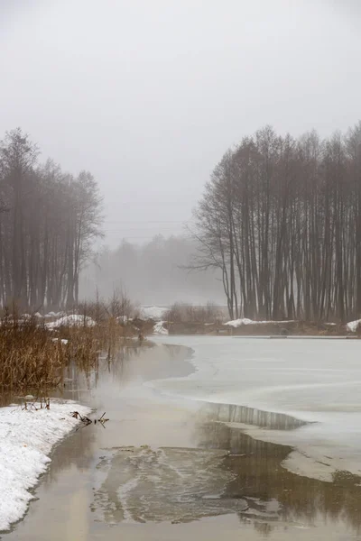 Nebel Über Dem See Zeitigen Frühling Frühlingslandschaft Einem Bewölkten Tag — Stockfoto