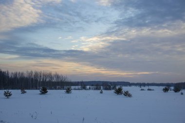 Kış akşamı manzarası, güzel kırsal manzarası. Ufukta gün batımı gökyüzü.