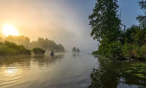 Mystiskt Landskap Dimma Tidigt Morgonen Floden Träden Nära Vattnet Lyses Stockfoto