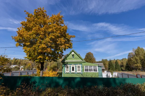 Egy Nagy Sárga Egy Régi Falusi Ház Közelében Vidéki Őszi — Stock Fotó