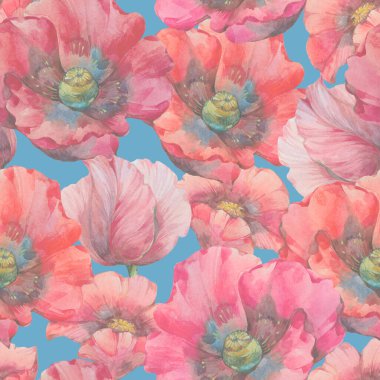 Suluboya gelincikler, tasarım için kusursuz botanik desen. Parlak kırmızı çiçekler. Soyut çiçek arkaplanı.