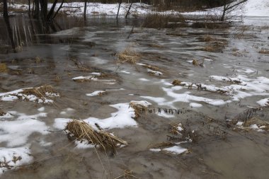 Nehir taşmış. Nehirli bir manzara. Sudaki ağaçlar. Geçen yılın çimenleri eriyen bölgelerde. Eriyen kar eriyen kar.