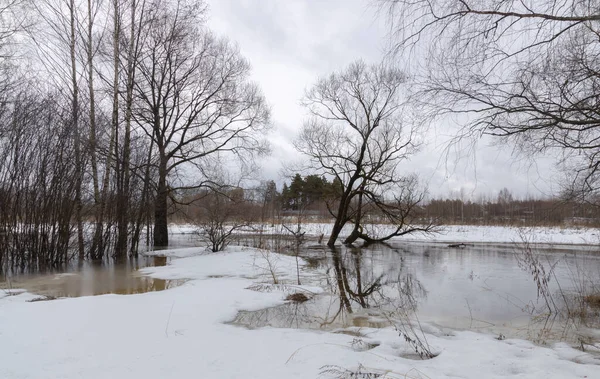 Fluss Überschwemmung Landschaft Mit Einem Fluss Bäume Wasser Das Gras — Stockfoto