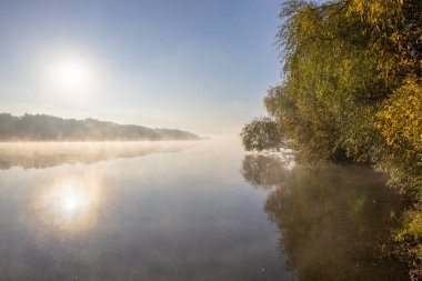 Sonbahar manzarası sabahın erken saatlerinde nehirde. Sisli su yüzeyi. Ağaçlardaki ve çalılardaki sarı yapraklar yükselen güneş ışınlarıyla aydınlatılır. Soğuk bir sonbahar sabahında şafak.