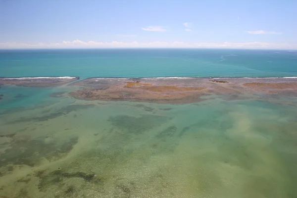 Koraller reef — Stockfoto