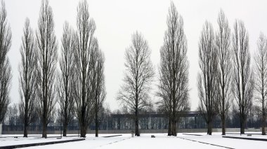 Dachau toplama kampı