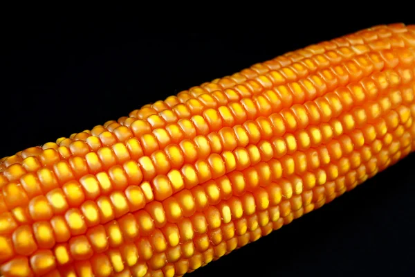 Corn on the cob — Stock Photo, Image