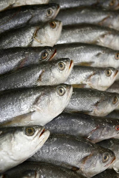 Pescado —  Fotos de Stock