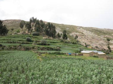 Copacabana, titicaca Gölü