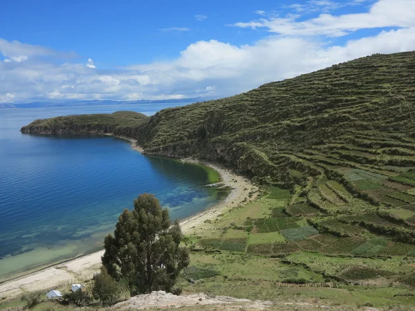 Titicacameer, bolivia — Stockfoto