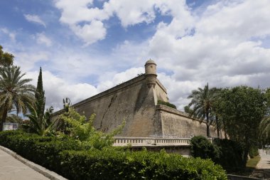 bir Palma de mallorca