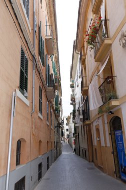 bir Palma de mallorca