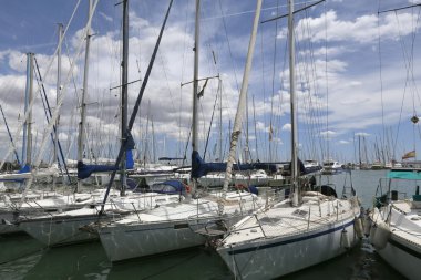 bir Palma de mallorca