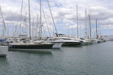 bir Palma de mallorca