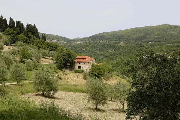 Toscana kırsal manzara — Stok fotoğraf