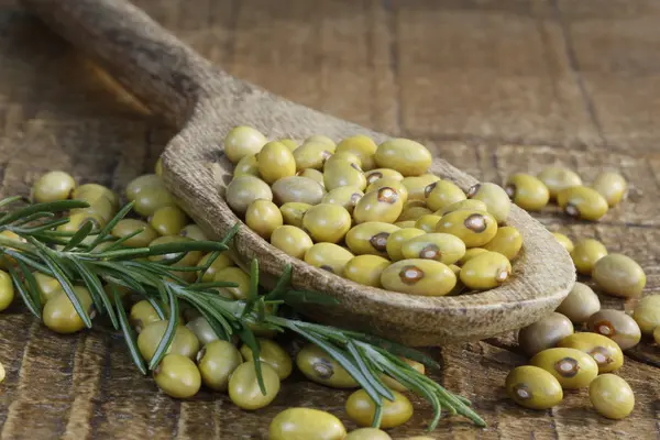 Fagioli — Foto Stock