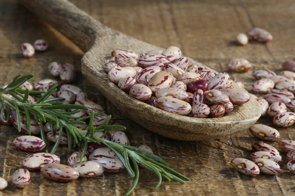 Haricots Dans Une Cuillère Bois Avec Romarin — Photo